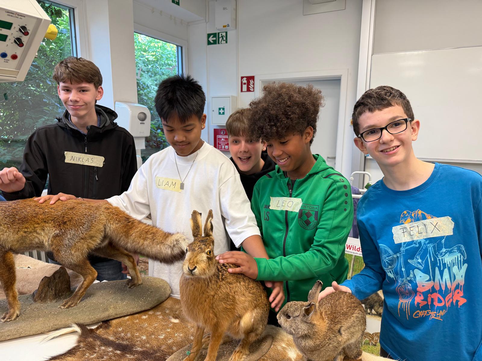 Dachs trifft Fuchs – Chaos trifft Ordnung!